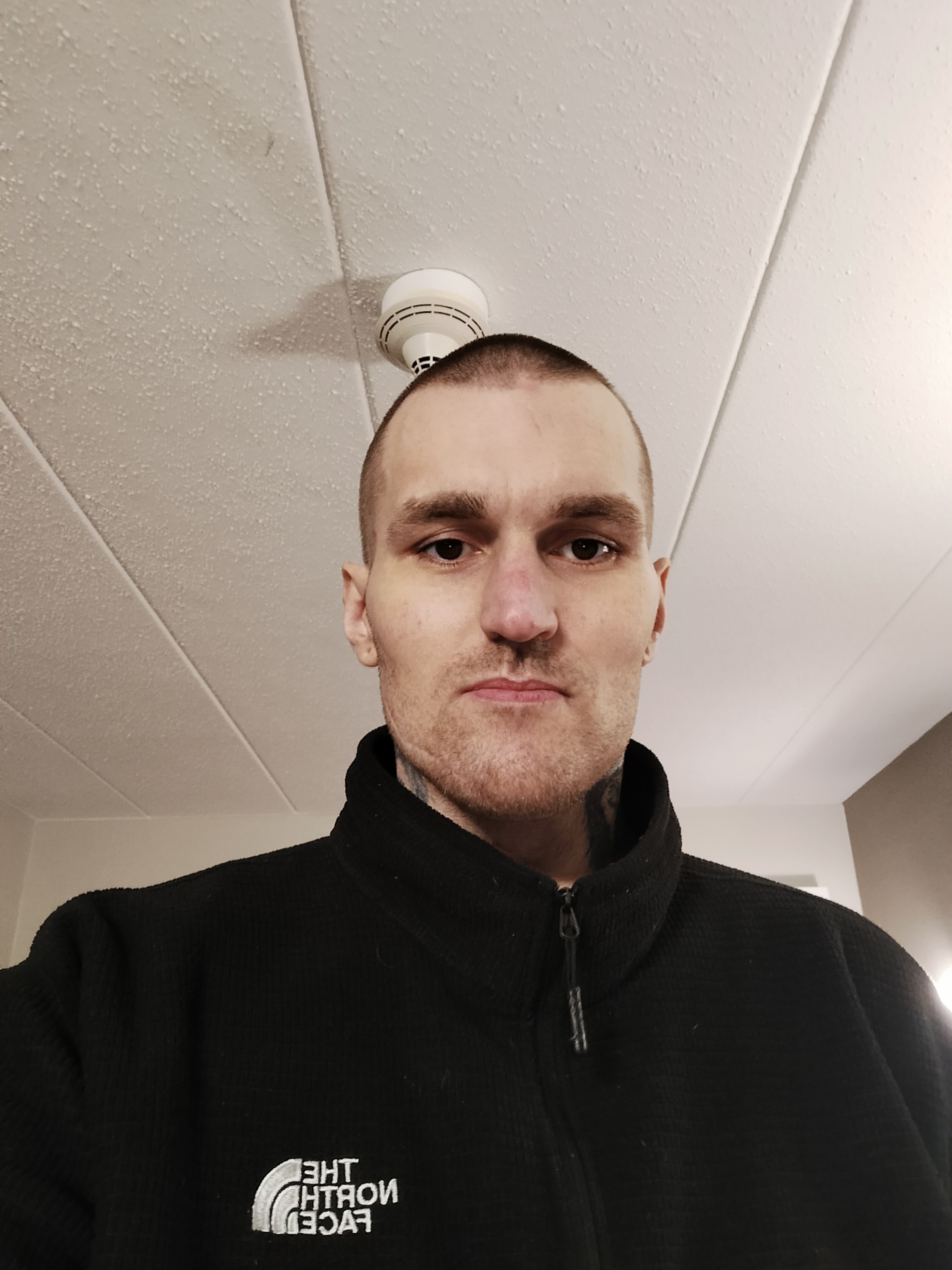 David Stetler Profile